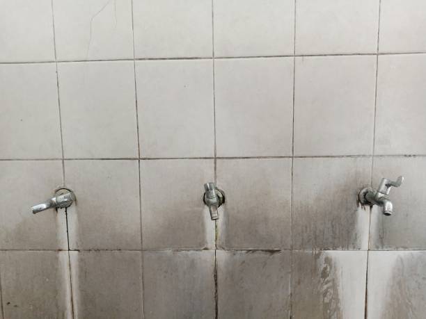 Best Flood damage cleanup  in East Grand Forks, MN