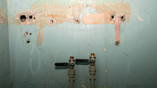 Best Professional water damage repair  in East Grand Forks, MN