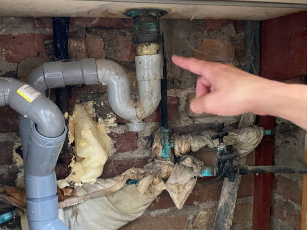 Best Residential water damage restoration  in East Grand Forks, MN